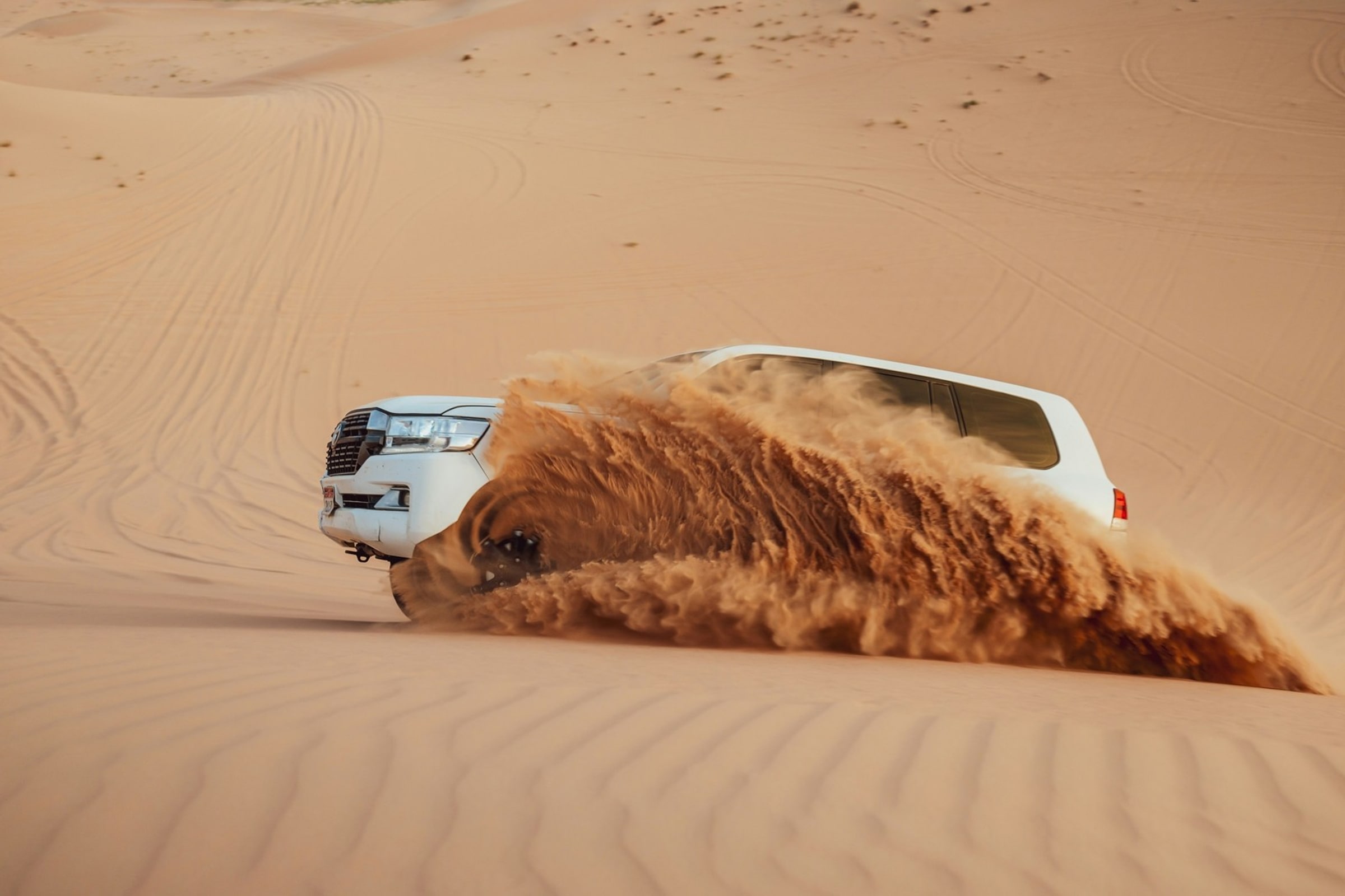 Abu Dhabi Desert Safari Experience